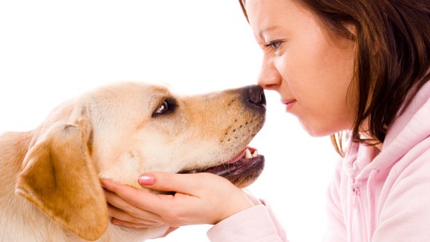 Câncer de pulmão: pelo olfato, cães conseguiram identificar com 70% de exatidão pacientes com a doença