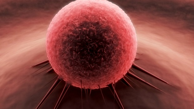 Dados de pesquisa divulgada pelo periódico 'The Lancet Oncology' apontam que, em 2030, a América Latina terá mais de 1 milhão de mortes em função do câncer
