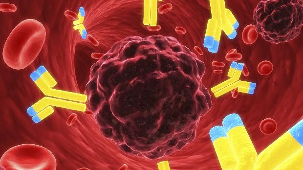 Cum ajuta imunoterapia in anumite forme de cancer