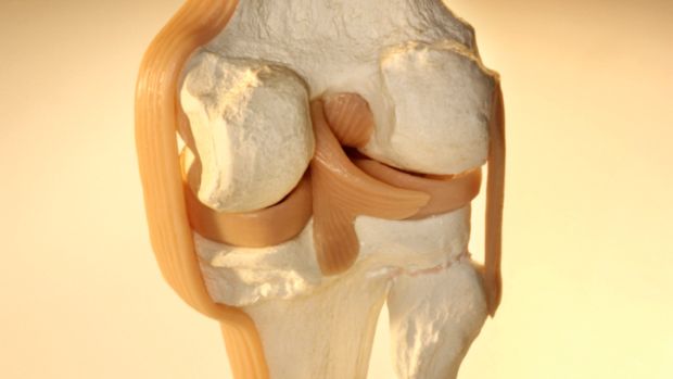 Cartilagem do joelho