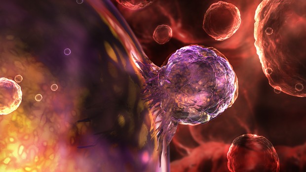 Justiça americana aprova o financiamento pública para pesquisas com células-tronco embrionárias