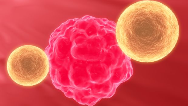 Células de defesa do organismo atacam tumor