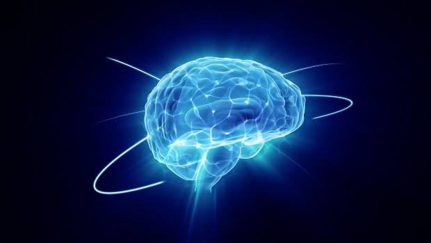 Estruturas cerebrais podem ser a chave para entender fatores que impedem a depressão