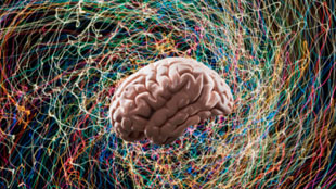 Ilustração sobre as conexões do cérebro humano