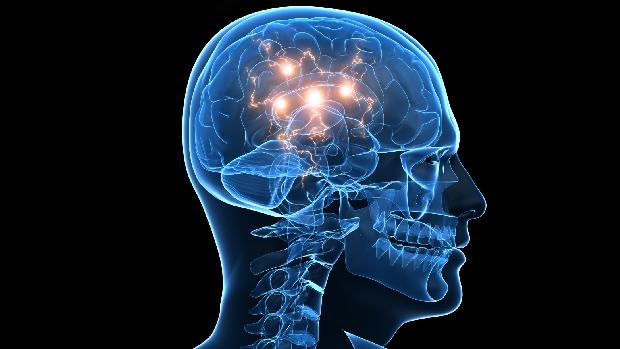 Cérebro pode sofrer alterações que influenciam o QI