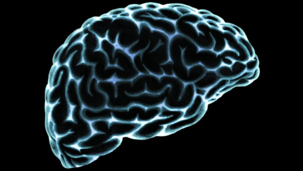 Cérebro: segundo estudo, adultos com transtorno de déficit de atenção e hiperatividade (TDAH) têm três vezes mais chances de desenvolver demência com corpos de Lewy (DCL), doença semelhante ao Alzheimer e com sintomas de Parkinson