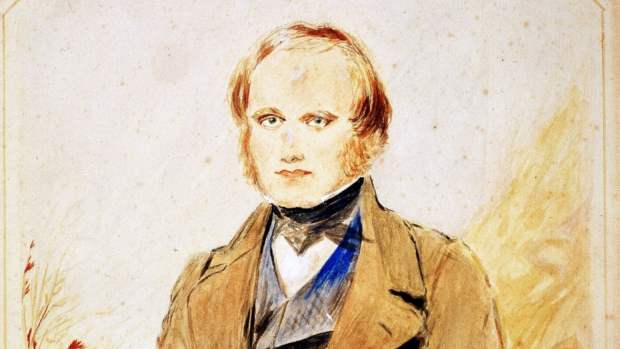 Pintura do século 19 mostra Charles Darwin ainda jovem