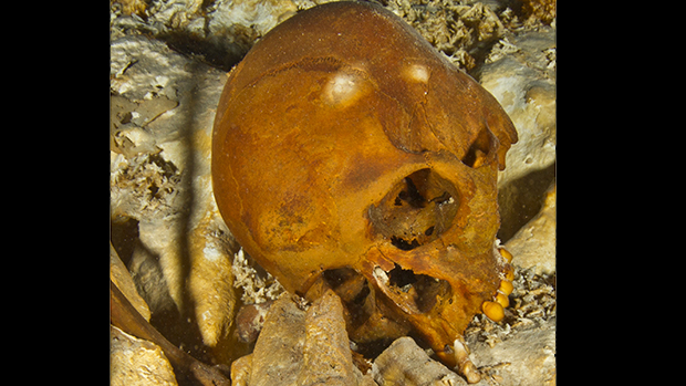 O crânio de Naia, como foi encontrado em 2011