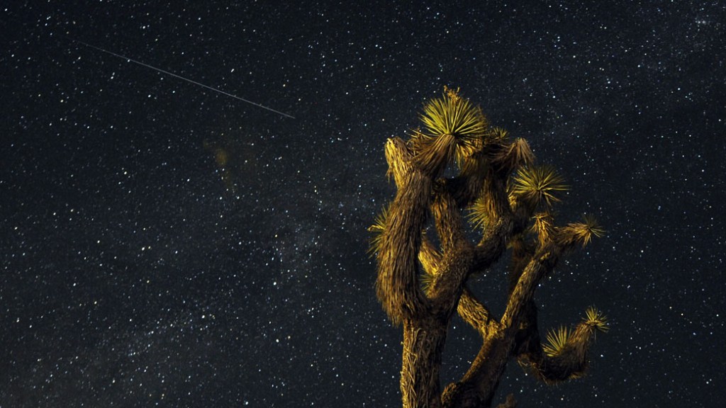 Estrela cadente vista do deserto de Mojave, na Califórnia. As Perseidas ou chuva de meteoros acontecem em agosto e podem ser melhor vistas a partir do hemisfério norte