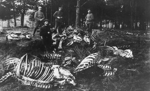 Soldados alemães ao lado de esqueletos de cavalos na I Guerra Mundial, na Polônia