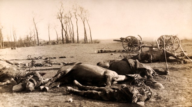 Cavalos de soldados britânicos mortos após uma batalha na I Guerra Mundial