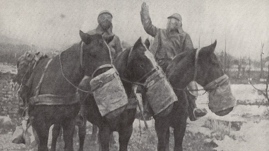 Homem mata cavalo a pauladas - CIDADE ALERTA MINAS 