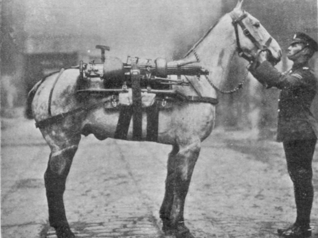 Cavalo equipado com um metralhadora durante a I Guerra Mundial