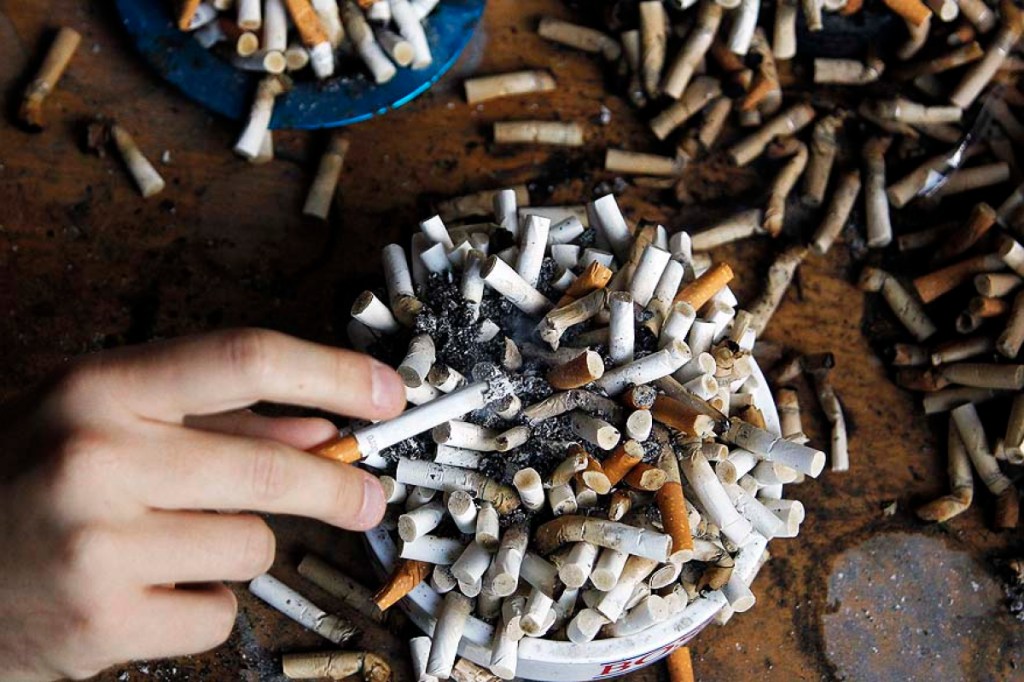 Veja o bizarro caso da barata fumando bituca de cigarro - CenárioMT