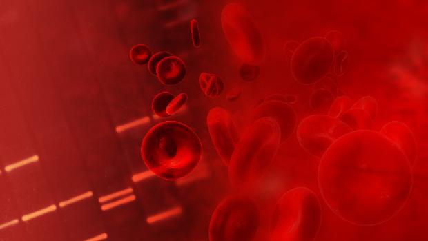 Coágulo sanguíneo: alimentos ricos em flavonoides podem ajudar a prevenir trombose