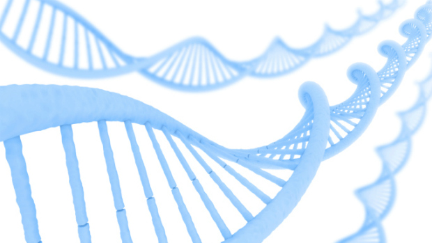 DNA: cientistas identificaram segunda doença genética mais antiga, com mais de 13 mil anos