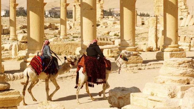 Camelos na cidade antiga de Palmira, Síria