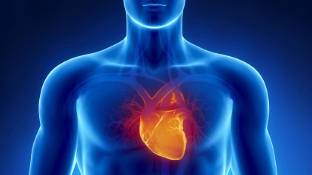 Doença arterial coronariana: depósito de gordura nas paredes arteriais dificulta a passagem de sangue ao coração
