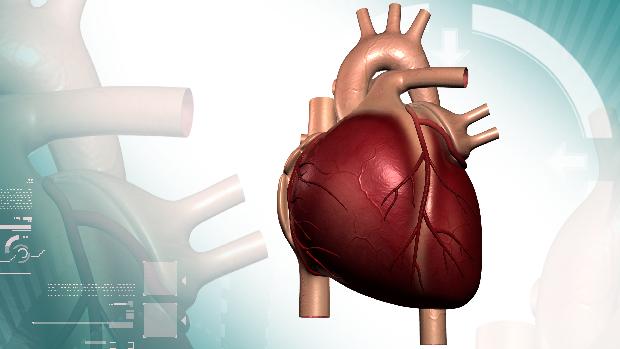 Problemas cardíacos: doença coronariana pode ser, na maioria das vezes, passada de pai para filho