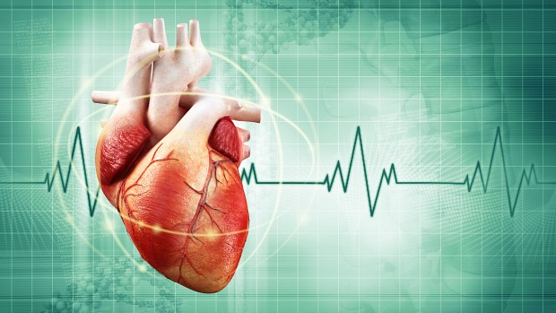 Coração: Cápsulas contendo a coenzima Q10 devem ser adicionadas ao tratamento padrão contra insuficiência cardíaca para aumentar a sobrevida dos pacientes, conclui estudo