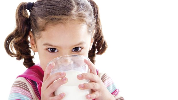 Infância: Apesar de entidades médicas recomendarem leite desnatado para crianças depois dos dois anos, estudo não vê diferença no ganho de peso entre jovens que bebem diferentes tipos de leite