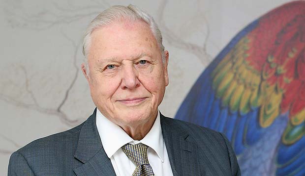 David Attenborough, apresentador de Tv