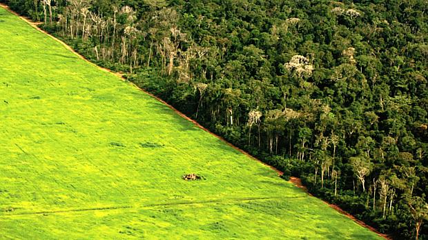 Desmatamento na Amazônia em foto aérea divulgada pelo Greenpeace