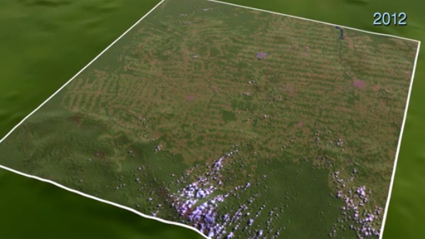 Devastação em Rondônia, nos anos 2000, pelas lentes dos satélites Landsat