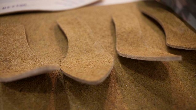 Destaque das palmilhas feitas a partir da casca do arroz. "O produto final biodegradável é tão bom quanto as sintéticas, as mais utilizadas no mercado de calçados", garante Lana