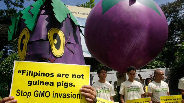 Ativista vestido de berinjela carrega cartaz contra alimentos geneticamente modificados na frente do Departamento de Agricultura em Manila, nas Filipinas. O protesto marca o Dia Mundial do Meio Ambiente nesta terça-feira