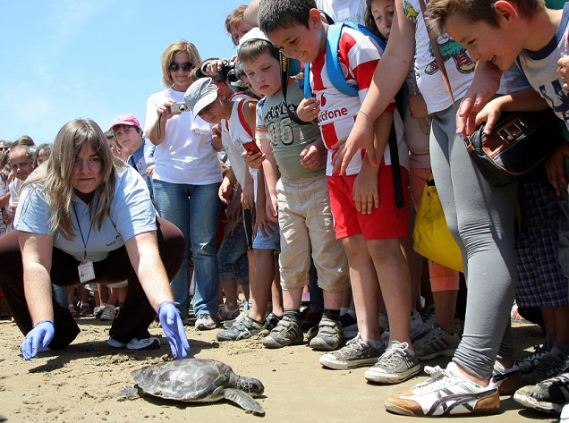 Crianças observam uma tartaruga na ilha de Creta, Grecia, no Dia Mundial do Meio Ambiente