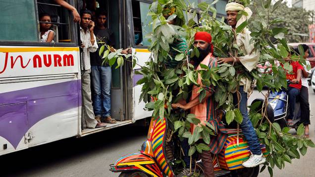 Ativistas se cobrem de galhos para alertar sobre a importância de proteger as árvores em manifestação para marcar o Dia Mundial do Meio Ambiente em Allahabad, na Índia