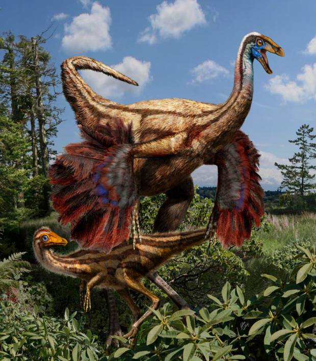 Descoberta nova espécie de dinossauro com braços minúsculos como o