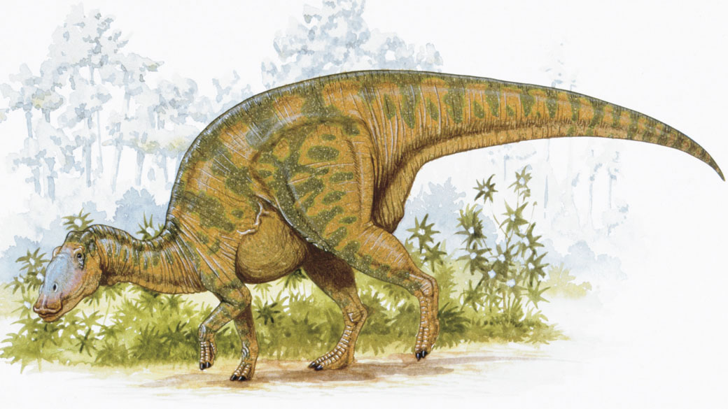 Dinossauro hadrossaurus