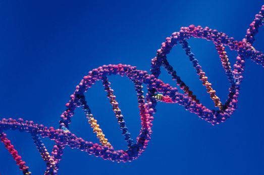 genética dna genoma saúde