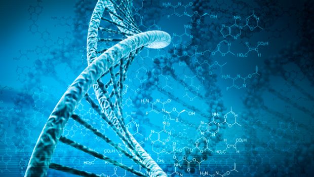DNA: estudo mostra que o gene EPHX2, relacionado ao processamento do colesterol, pode estar ligado à anorexia