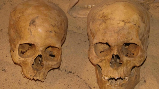 À esquerda, crânio pertencente a um indivíduo de características comuns, quase mediterrâneo (branco). À direita, crânio de um indivíduo negro, da região da Núbia (1.750 a.C.)