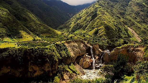 O Equador é um dos países da América do Sul com maior variedade de árvores, por causa da diversidade do clima