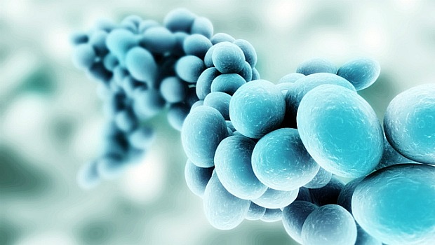 Bactérias: 99,9% das que existem não podiam ter o DNA sequenciado pelos cientistas