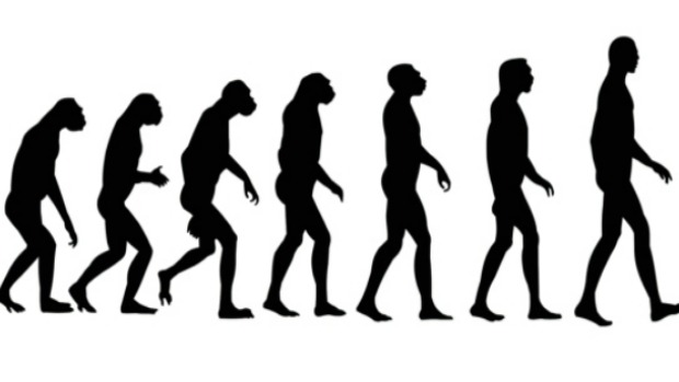 Novos estudos genéticos estão mudando a maneira como especialistas entendem a evolução dos hominídeos