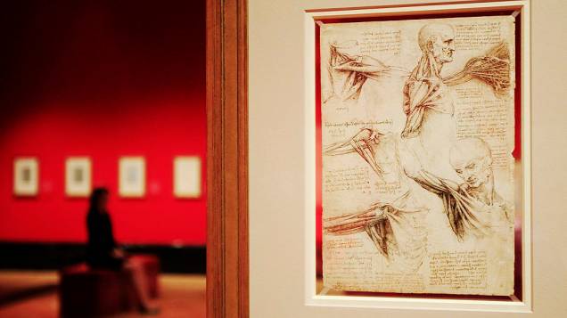 <p>Desenho de Leonardo da Vinci "os músculos do ombro", feito entre 1510-11 em exposição na Queens Gallery no Palácio de Buckingham, Londres</p>
