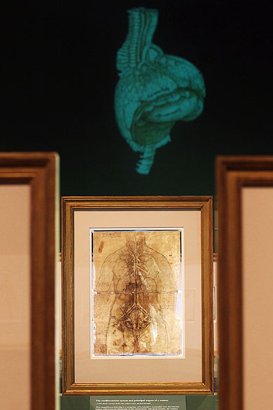 <p>Exposição entitulada "Anatomist: Inside His Mind, Inside The Body" reúne estudos do corpo-humano realizados por Leonardo Da Vinci</p>