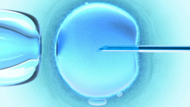 Doação mitocondrial: o DNA das mitocôndrias de uma doadora é utilizado, ao invés do que vem da mãe
