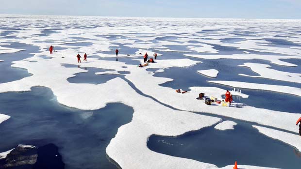 Pesquisadores da Nasa descobrem fitoplâncton debaixo do gelo do Ártico