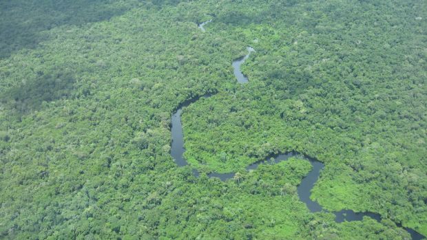 floresta amazônica