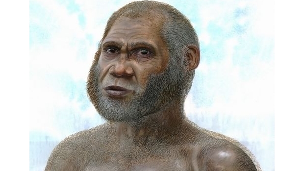 Reconstrução artística do hominídeo cujos fósseis foram estudados por instituições australianas e chinesas