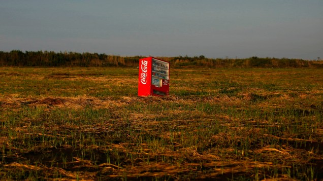A máquina de venda de refrigerantes abandonada em uma plantação de arroz