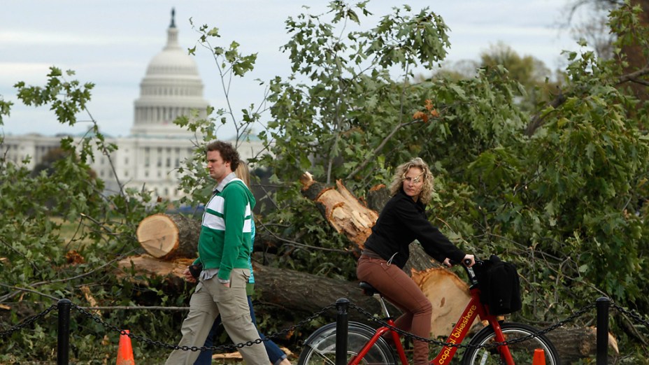 Pedestres passam diante de árvores derrubadas pela passagem da tempestade Sandy em Washington