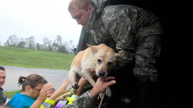 Pessoas e un cachorro, são resgatados pela Guarda Nacional de Louisiana após a passagem do furacão Isaac