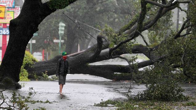 Homem passa em frente a árvores caidas em uma avenida em Louisiana